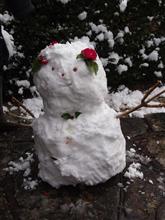 やっと雪が消えましたが，大雪の予報…