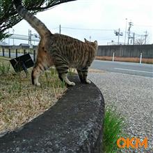 深追いはシないに限る｡｡｡(^◇^;)