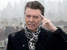 David Bowie Day David Bowie Day