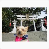 パワスポ神社
