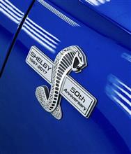 スーパースネークと2018新型