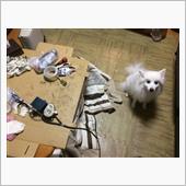 アンテナ修理その4