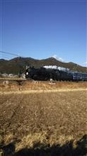 房総の旅