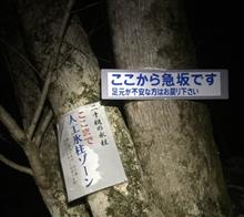 冬限定な観光
