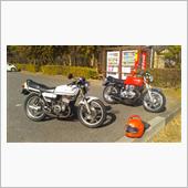 秋ヶ瀬公園　パトロール　2ス ...
