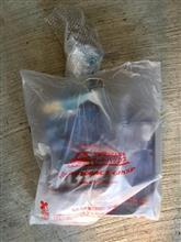 今日は穏やかで弄り日和
