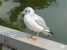 山の向こうは凄かった～。