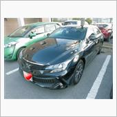 〈試乗車〉TOYOTA Ne ...