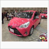 〈展示車〉TOYOTA Ne ...