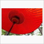 京都は景色が美しいだけではな ...