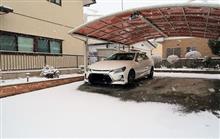 定休日も何か早朝よりテンション・・・