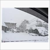 大雪警報。