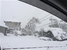 大雪警報。