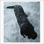 この状態なのに雪国ではない！ ...