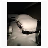 また雪です＿|￣|○