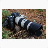 初代EOS-1で連写する