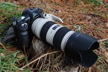 初代EOS-1で連写する