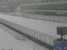 雪国・・・ 雪国・・・