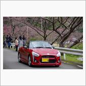 日本一早いお花見ツーリング！