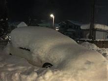 コしびっくまを探せ！