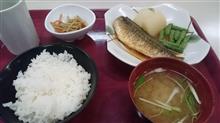 v(。・・。)イエッ♪　明日はお休みするダよ～!!