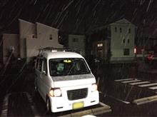 今年は当たり雪ですね〜 今年は当たり雪ですね〜