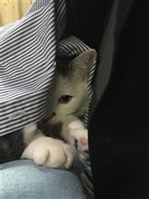 支部って