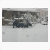 雪との闘いの日々 (≧∀≦)