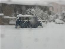 雪との闘いの日々 (≧∀≦)