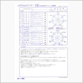 流石の分析