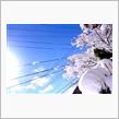 雪はやんだけど…。