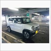 【被膜】納車して約1年半。