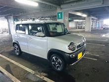 【被膜】納車して約1年半。