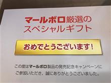 禁煙中ですが・・・