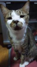 かんぺい君 その２