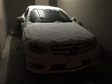 次の愛車探し。。。 次の愛車探し。。。