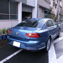 今年の初洗車