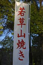 2017 奈良 若草山 山焼き