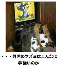 今回は６日間。。(&#180;▽`) ﾔﾙｰ。。　　ダイエット３年と301日目