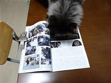 遂に発売！！！　Nostalgic　SPEED　Vol.12