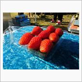 利根川ゆうゆう公園でBBQオ ...