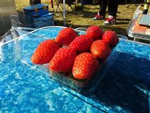利根川ゆうゆう公園でBBQオフ！