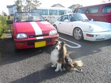 今日は湘南T-SITEのモーニングクルーズに行ってきました！