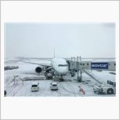 飛行機の旅は、行動半径が広が ...