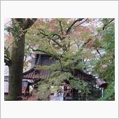 秋にちょいと別府ツアー201 ...