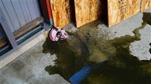 水びたし。