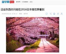 コレに出会えるのは日本だけ、中国メディアが紹介する「桜づくし」の商品いろいろ、花見シーズンの「爆買い」リスト？ 