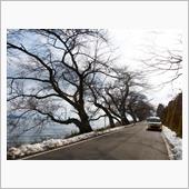 滋賀県道557号西浅井マキノ ...