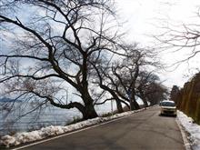 滋賀県道557号西浅井マキノ線を行く②