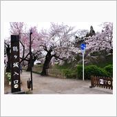 早春の磐梯吾妻スカイライン　 ...